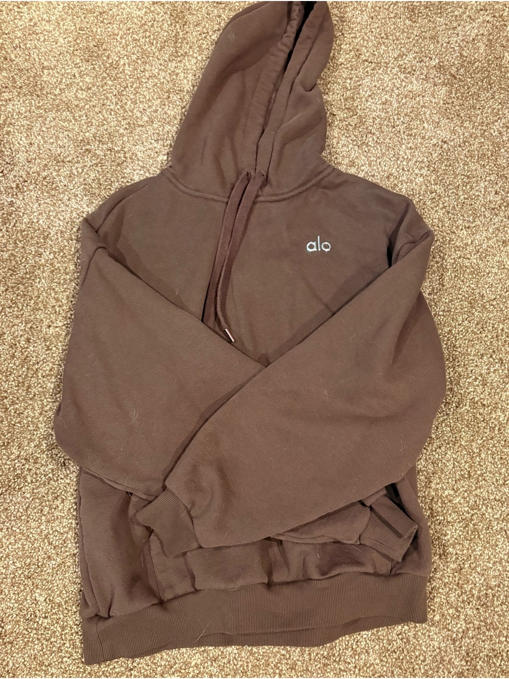 Alo Accolade Espresso Logo Hoodie